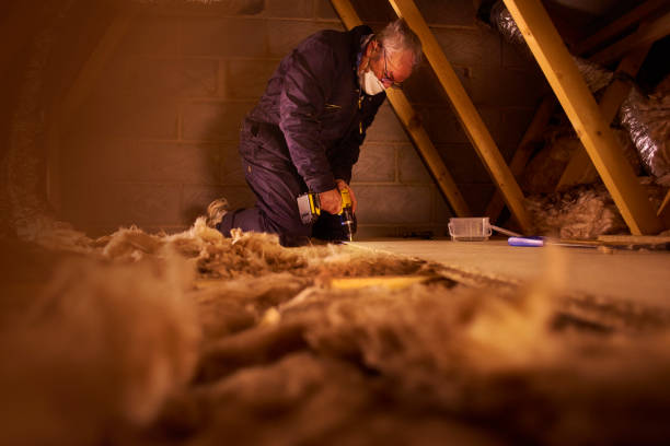 Best Insulation Maintenance and Repair in Covedale, OH